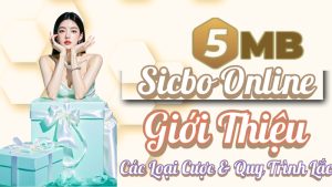 Sicbo Online | Giới Thiệu Luật Chơi Cơ Bản, Các Loại Cược & Quy Trình Lắc Xúc Xắc