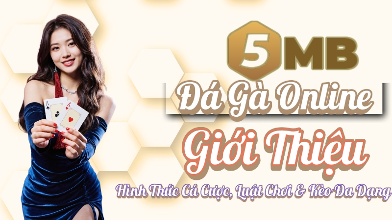 Đá Gà Online Trực Tiếp | Giới Thiệu Hình Thức Cá Cược, Luật Chơi & Kèo Đa Dạng